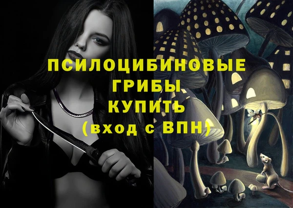 винт Надым