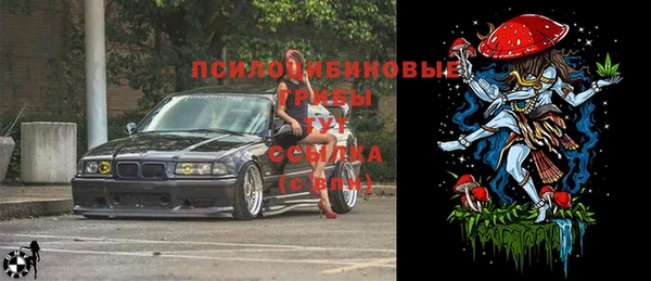 винт Надым