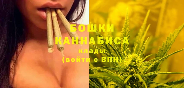 винт Надым